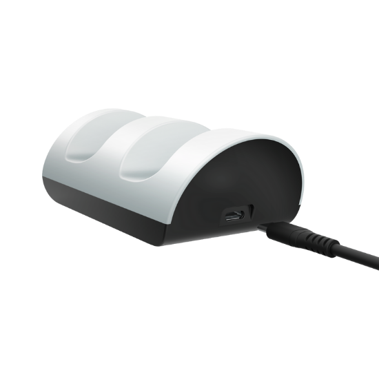Punjač TRUST GXT 254, za 2 PS5 kontrolera, USB