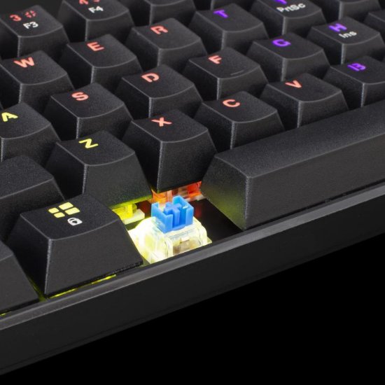 Tipkovnica WHITE SHARK GK-2022 Shinobi, LED, Plavi switch, mehanička, crna, USB