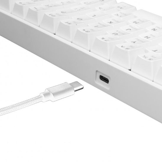 Tipkovnica WHITE SHARK GK-2022 Shinobi, LED, Plavi switch, mehanička, bijela, USB