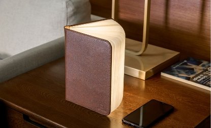 Svjetiljka GINGKO Mini Smart Book Light, smeđa