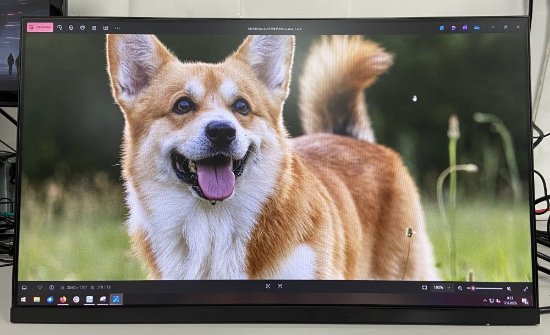 RABLJENI - Monitor 23.8" XIAOMI Mi 1C, FHD, IPS, 250cd/m2, 1000:1, crni