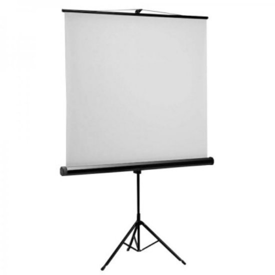 OPEN BOX - Platno za projektor E-VIEW TS200, 203 x 203 cm, 1:1, na stalku
